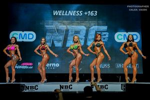 WELLNESS +163